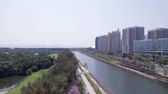 深圳南山沙河西路沙河生态公园春天航拍12