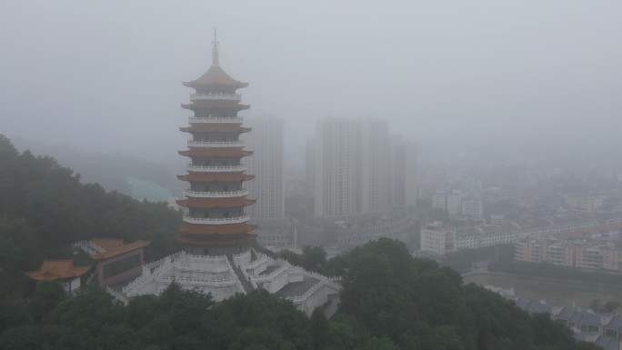 晨雾   塔   希区柯克