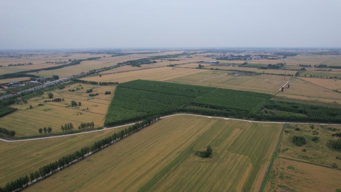 航拍麦田试验林基地