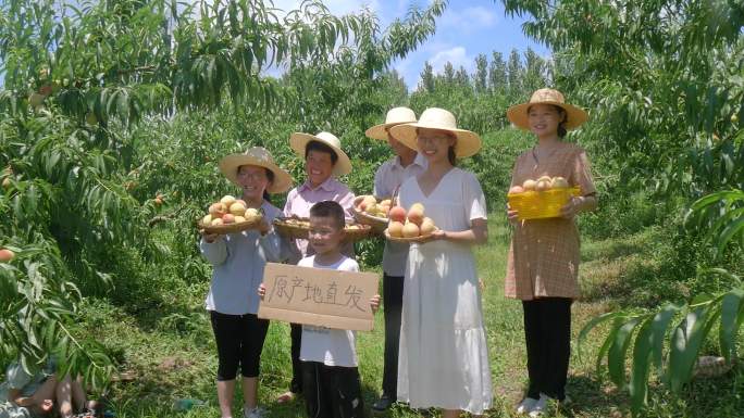 水蜜桃产地直播