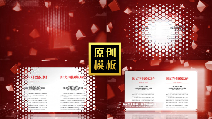 红色党企荣誉证书文件展示模板包装