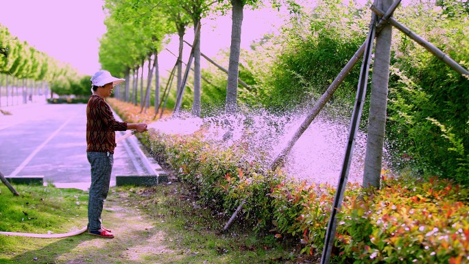 环卫工人马路边浇花浇树浇草地