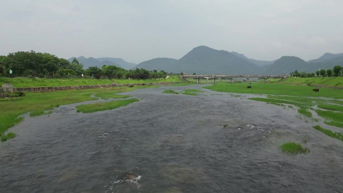 乡村河流  生态保护  舒适治愈风光