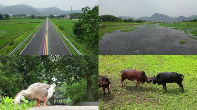 乡村河流  生态保护  舒适治愈风光