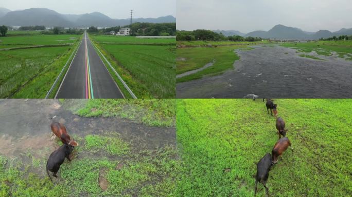 乡村河流  生态保护  舒适治愈风光