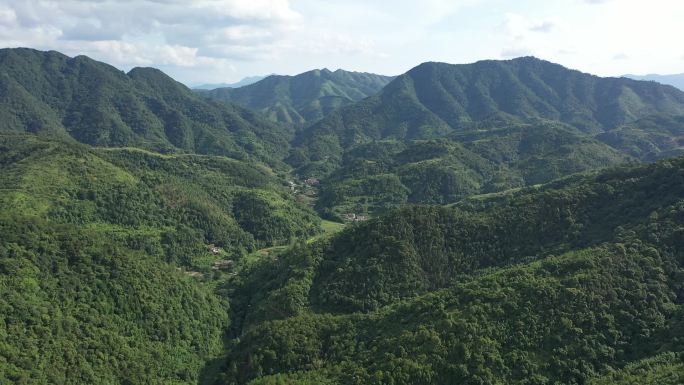 云南省昭通市威信县未开发原始自然生态大山