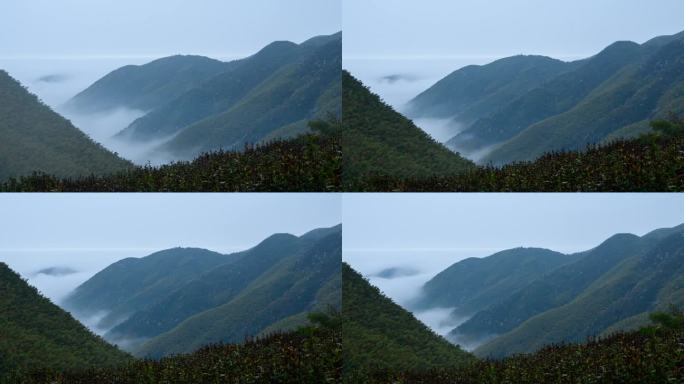 高山和云海延时摄影