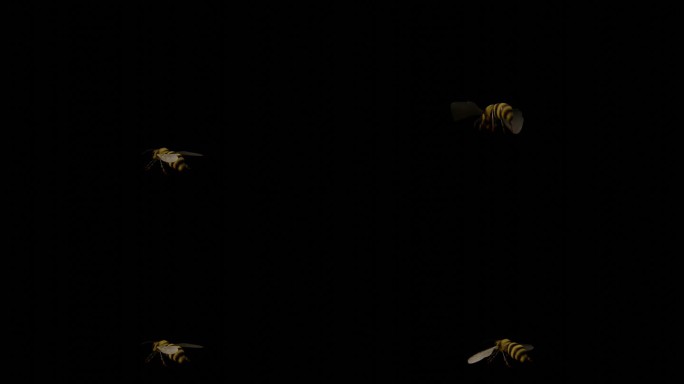 蜜蜂 马蜂 蜂 工蜂 雄雌蜂 蜂王 蜂后