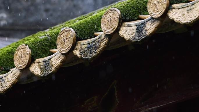 雨滴 雨天 江南 蒙蒙雨季 下雨