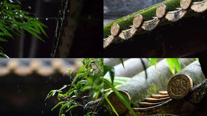 雨滴 雨天 江南 蒙蒙雨季 下雨