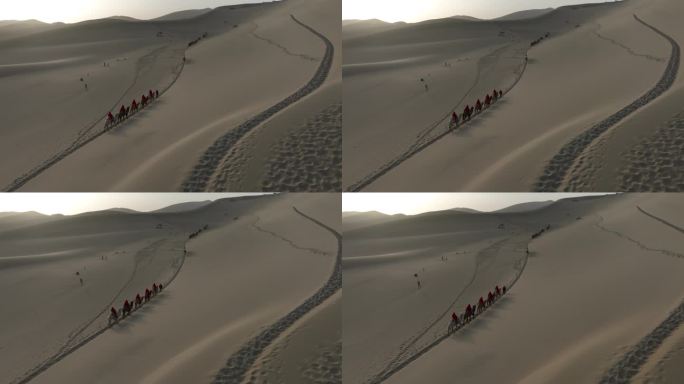 沙漠日出 骆驼