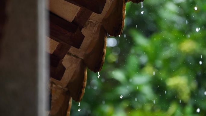 雨滴 雨天 江南 屋檐 清明 屋脊 水乡