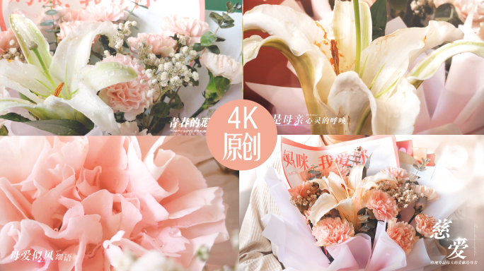 4K花朵送花素材（带AE字幕）