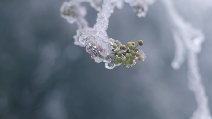 唯美雪景