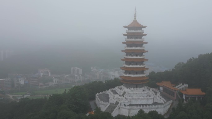 晨雾   塔   希区柯克