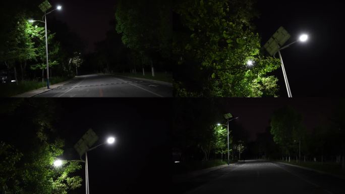 4K路灯大树夏天夜晚的小路