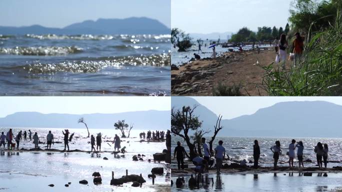 斗南湿地沙滩玩耍的游客