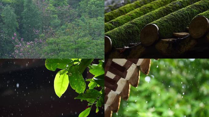 雨滴 雨天 江南 屋檐 清明 屋脊 水乡