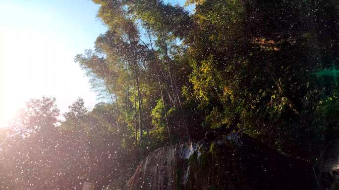 蜀南竹海彩虹瀑布边的石壁溪水水帘落叶
