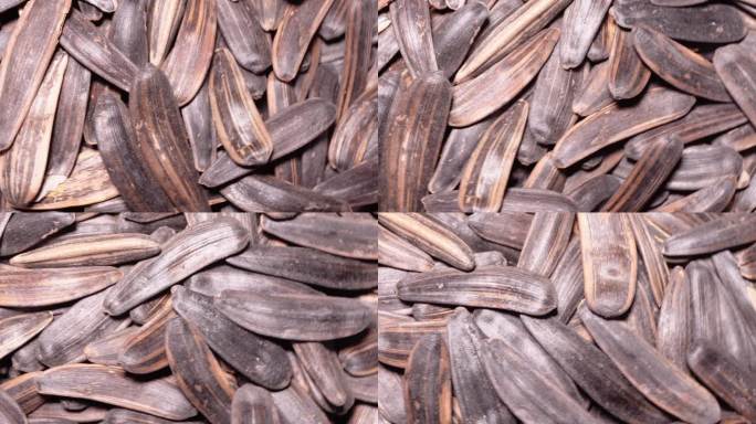 马牙瓜子狼牙瓜子长粒瓜子（1）