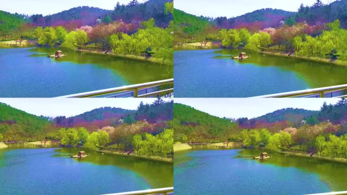 青岛 北岭山公园 绿色青山 湖面4K素材