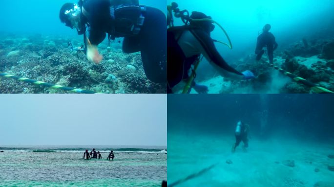 海边游泳 潜水运动 户外玩耍