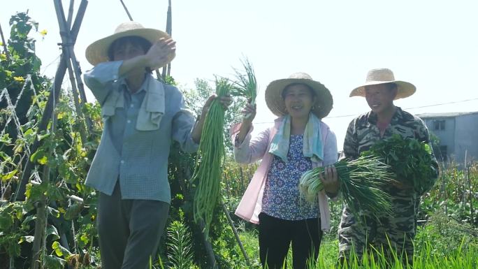 助农直播农民收获