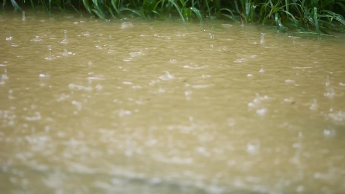 降雨 下雨