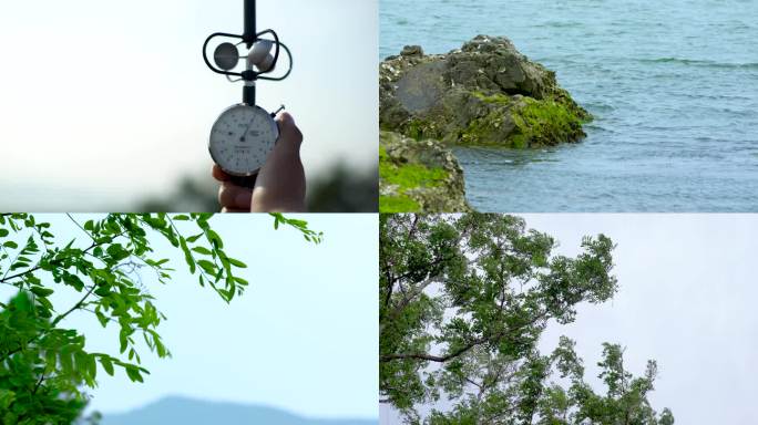风速测量 海边景色 礁石