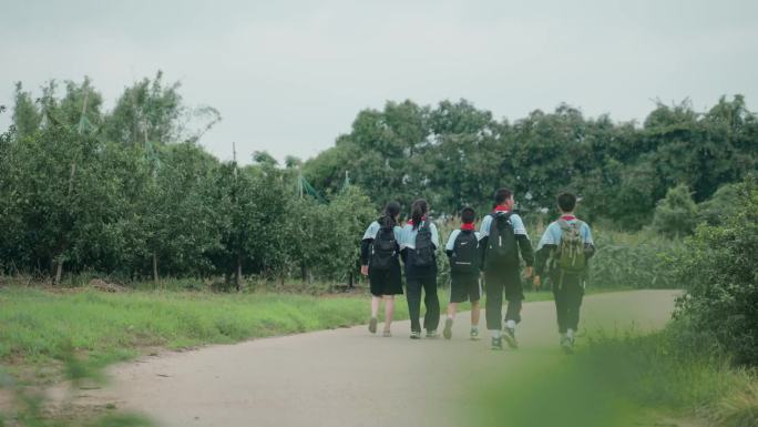 乡村道路小学生上学路上