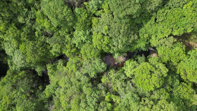 俯瞰绿水青山  大地山谷航拍