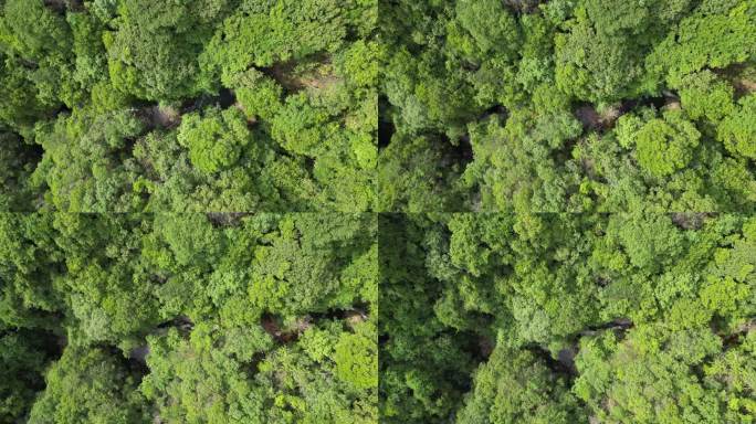 俯瞰绿水青山  大地山谷航拍