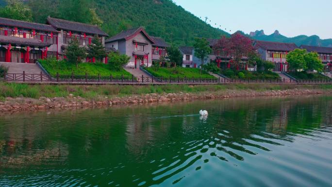 绿水青山下的古镇和湖里的天鹅