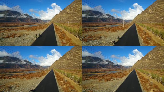 航拍西藏林芝雅尼湿地附近公路上转山藏民