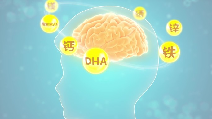 DHA营养大脑