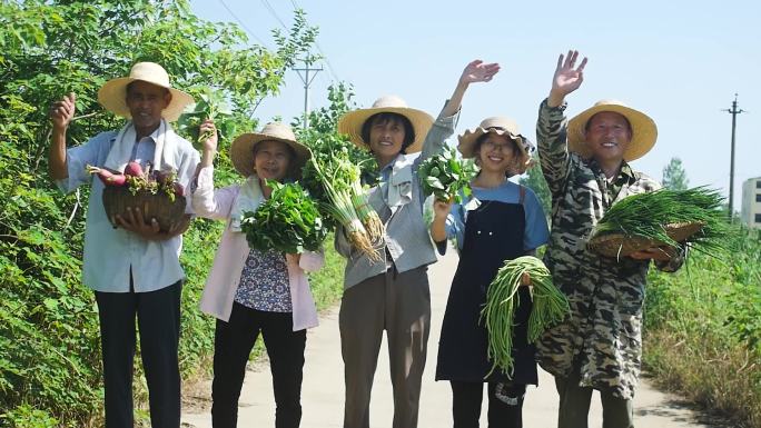 农产品蔬菜电商助农