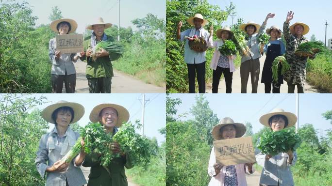 农产品蔬菜电商助农