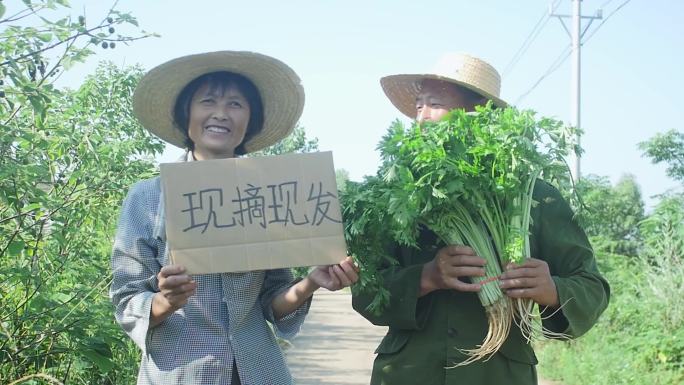 农产品蔬菜电商扶贫