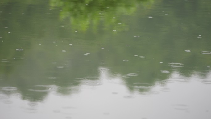 江南春天雨天下雨雨水水面水滴水波