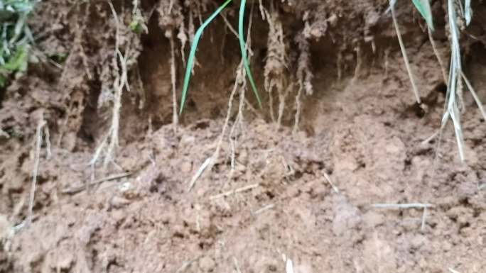 暴雨过后泥土塌陷泥石流地质灾害自然灾害