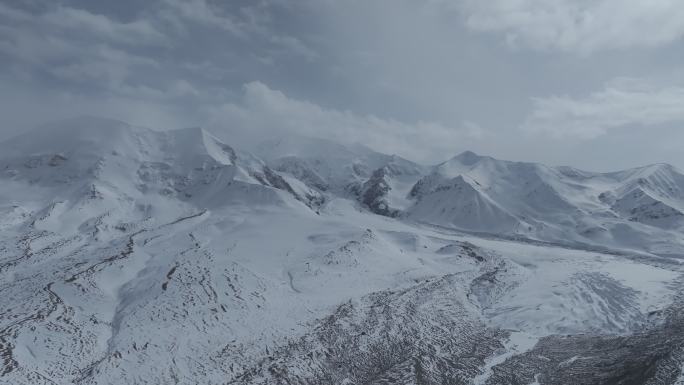 高原雪山蓝天白云牛羊马4k