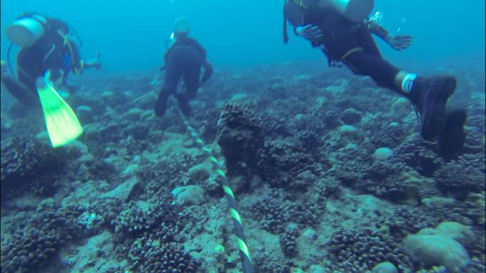 海边游泳 潜水运动 户外玩耍