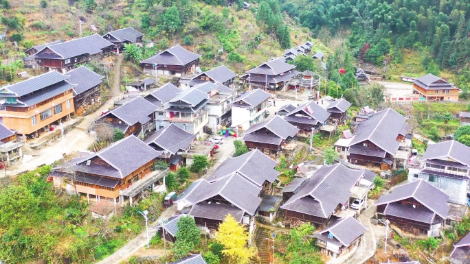 中华土地 绿色植被 梯田