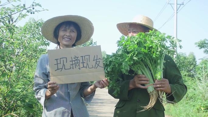 乡村振兴助农直播