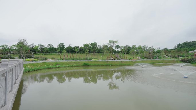 月季花 后花园 鲜花盛开 后院花开 水池