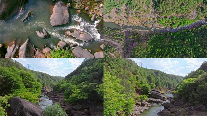 森林山川鸟儿飞过河流