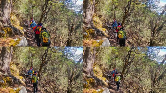 四川甘孜攀登那玛峰的登山者徒步进山