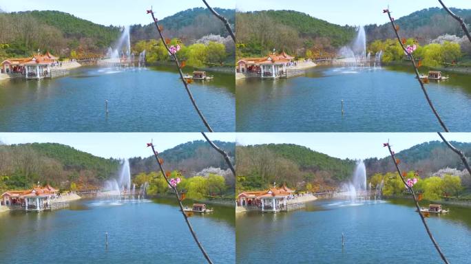 青岛 北岭山 绿水青山 小湖喷泉4K素材