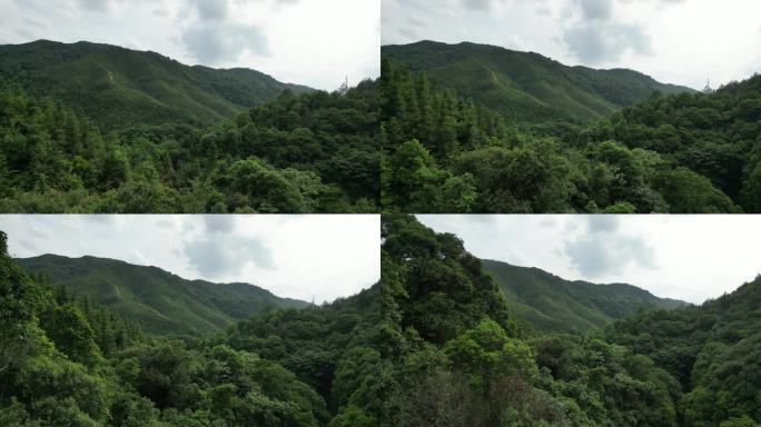 俯瞰绿水青山  大地山谷航拍