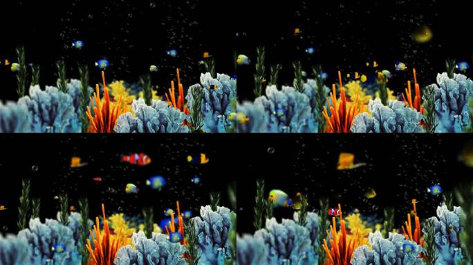 4K透明通道海底世界素材
